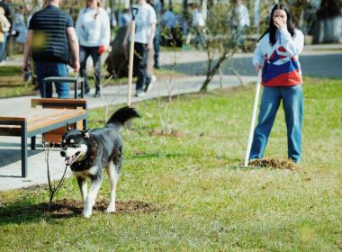 Тысяча курсантов и инструкторов Центра «ВОИН» благоустроят памятники и скверы к 80-летию Победы